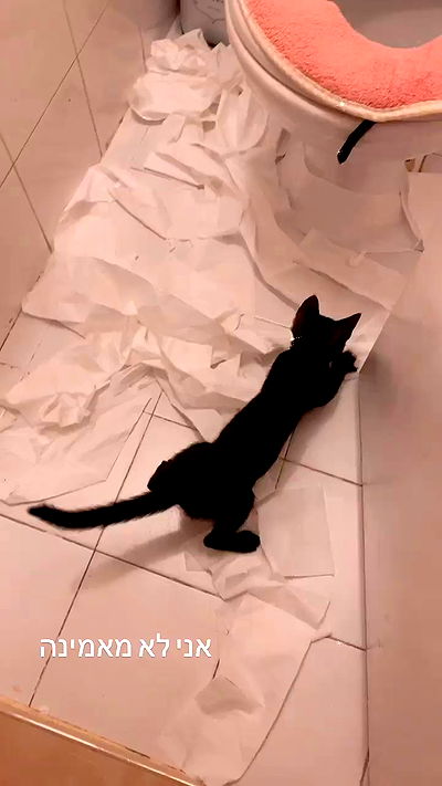 rebecka_tsadok rebecka_tsadok archive video