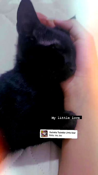 rebecka_tsadok rebecka_tsadok archive video