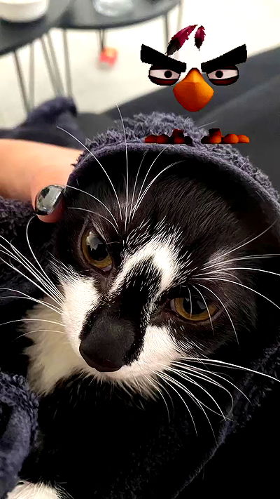 rebecka_tsadok rebecka_tsadok archive video