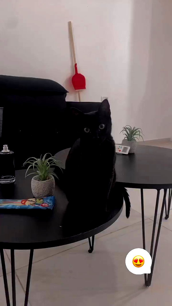 rebecka_tsadok archive video preview