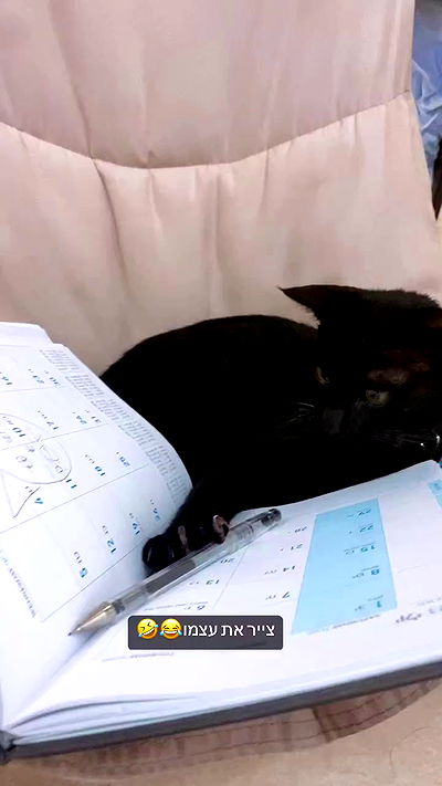 rebecka_tsadok rebecka_tsadok archive video