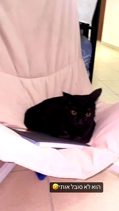 rebecka_tsadok rebecka_tsadok archive video