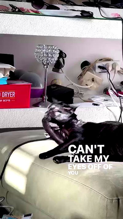 rebecka_tsadok rebecka_tsadok archive video