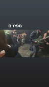 Shay Hochberg Altpins Profile Picture
