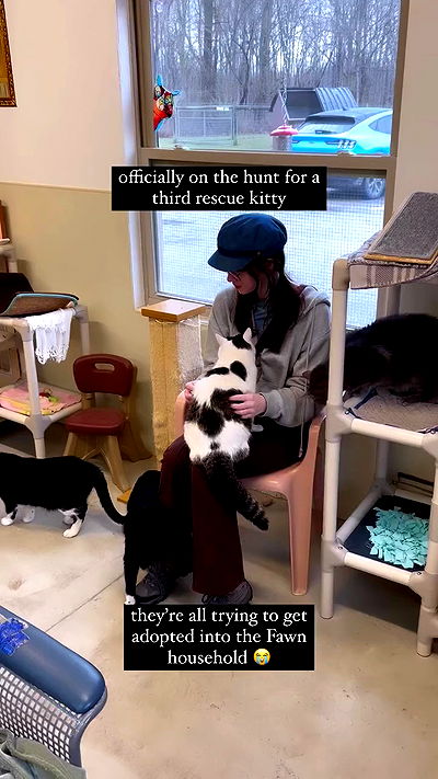 norafawn norafawn archive video