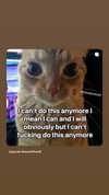 elohim_adirim Altpins Profile Picture