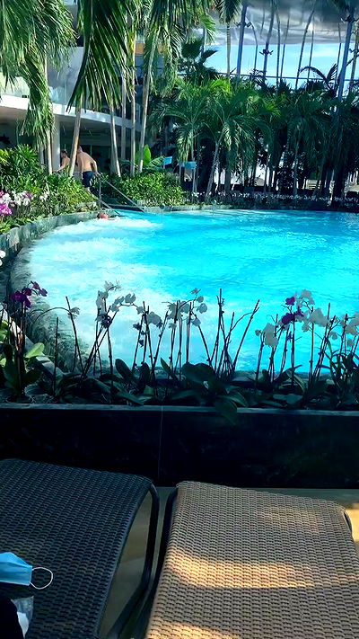 rene2141 rene2141 archive video