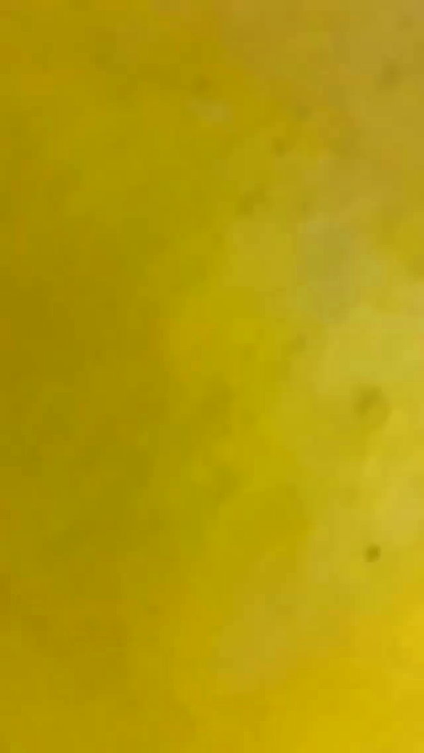 a.roniiiiii archive video preview