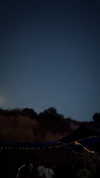 lisush_9 Altpins Profile Picture