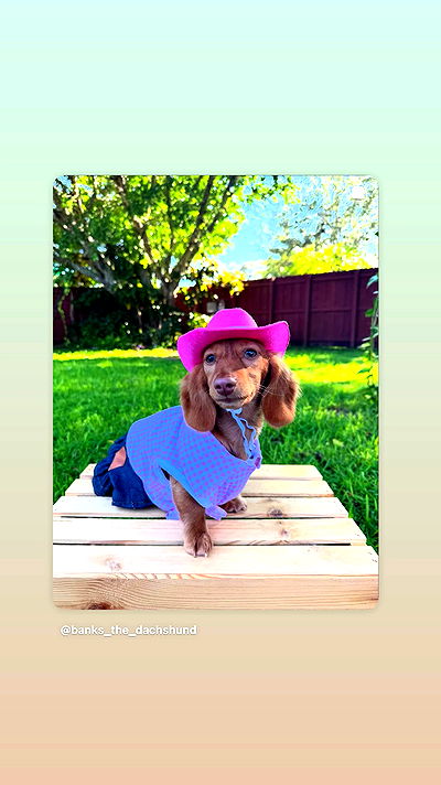 _._dianush._ _._dianush._ archive video