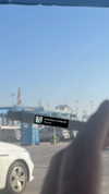 vadim_evs Altpins Profile Picture