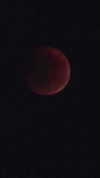 avitalll._ Altpins Profile Picture