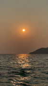 veronika_grish Altpins Profile Picture