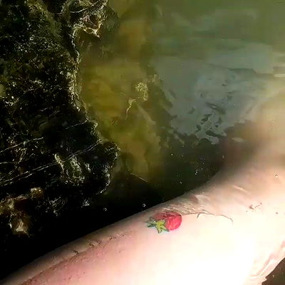 yam_adler yam_adler archive video