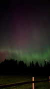 angxl.sky Altpins Profile Picture