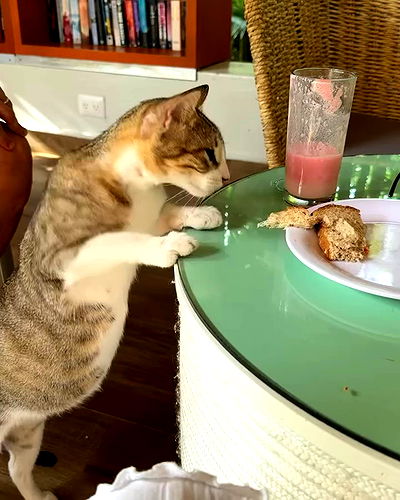 shunli__mei shunli__mei archive video