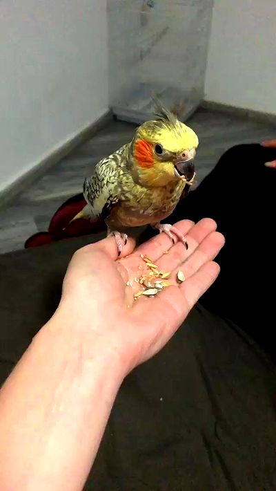 feelbetterinmysweater feelbetterinmysweater archive video