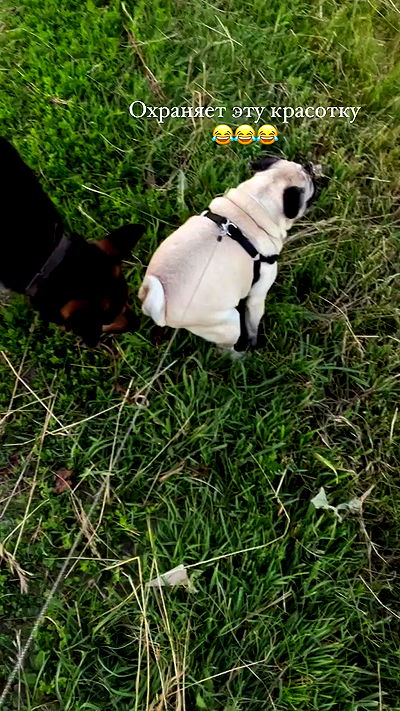 nyityam nyityam archive video