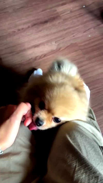 oqr0_ oqr0_ archive video