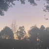 mittzaa_ Altpins Profile Picture
