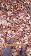 sarah.anne.dipity Altpins Profile Picture
