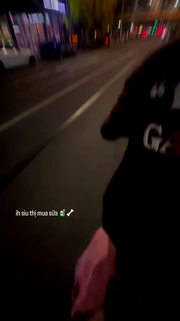suadaunanh_ne archive video preview