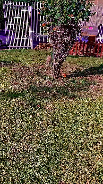 feelbetterinmysweater feelbetterinmysweater archive video