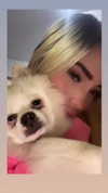 sbt__00 Altpins Profile Picture
