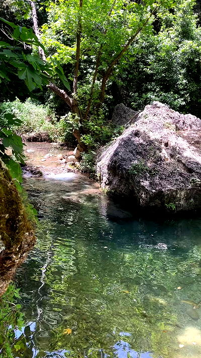 jaroslava_klavir jaroslava_klavir archive video