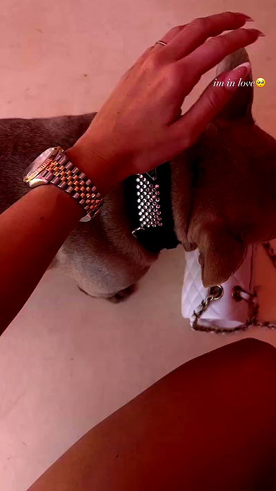 payton.r payton.r archive video