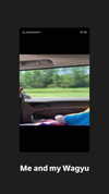 grantbeans Altpins Profile Picture