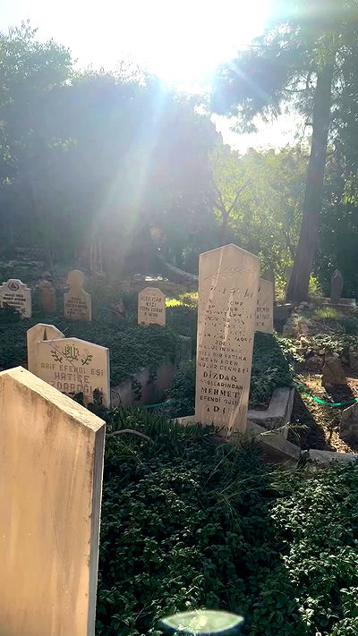 annfigma annfigma archive video