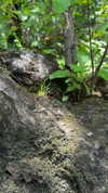 sarah.anne.dipity Altpins Profile Picture