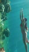 romy.benshushan Altpins Profile Picture