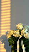 ___.ilana._ Altpins Profile Picture