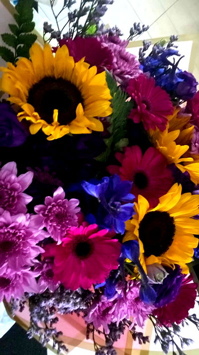 dustheadd dustheadd archive video