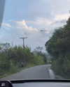 dianavgalvis Altpins Profile Picture