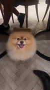 carmonoam Altpins Profile Picture