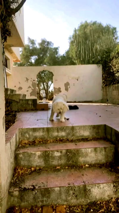 feelbetterinmysweater feelbetterinmysweater archive video