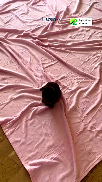 neiimaaa neiimaaa archive video