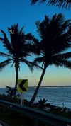 dianavgalvis Altpins Profile Picture