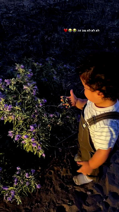 rebecka_tsadok rebecka_tsadok archive video