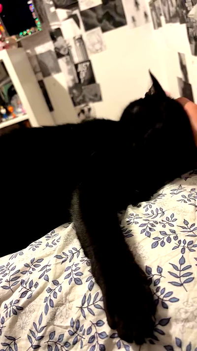 tutiiiiii666 tutiiiiii666 archive video