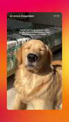 emily_new2 Altpins Profile Picture