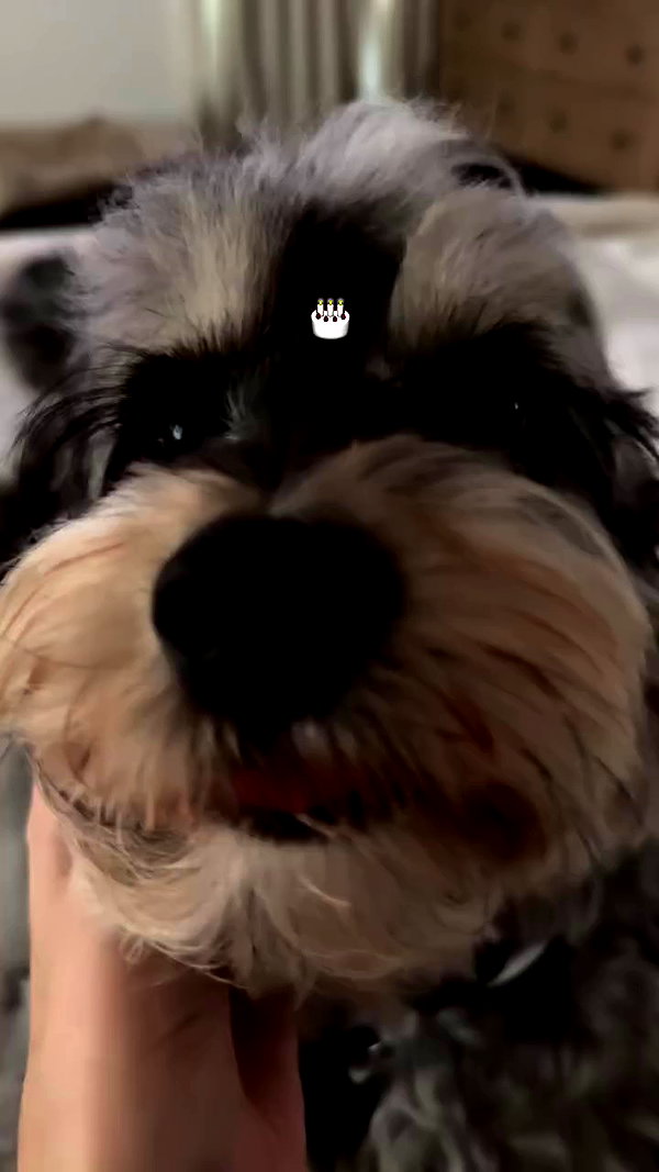 madisonbeer archive video preview