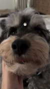 madisonbeer Altpins Profile Picture