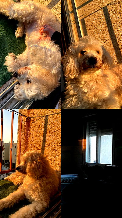 feelbetterinmysweater feelbetterinmysweater archive video