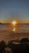 alexis.leth Altpins Profile Picture