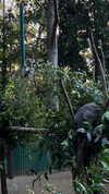 estr3iia Altpins Profile Picture