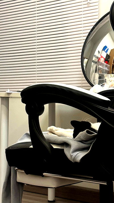 oqr0_ oqr0_ archive video